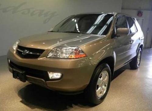 Photo of a 2003-2004 Acura MDX in Sandstone Metallic (paint color code YR542M
