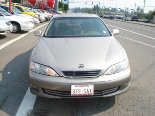 Photo of a 1999-2000 Lexus ES in Burnished Gold Metallic (paint color code 4P2