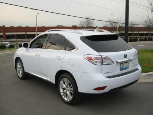 Photo Image Gallery & Touchup Paint: Lexus RX in Aurora White Pearl  (078)  YEARS: 2010-2010