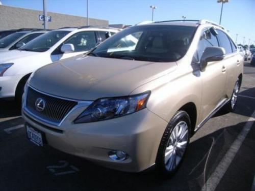 Photo Image Gallery & Touchup Paint: Lexus RX in Golden Almond Metallic  (4T1)  YEARS: 2010-2010