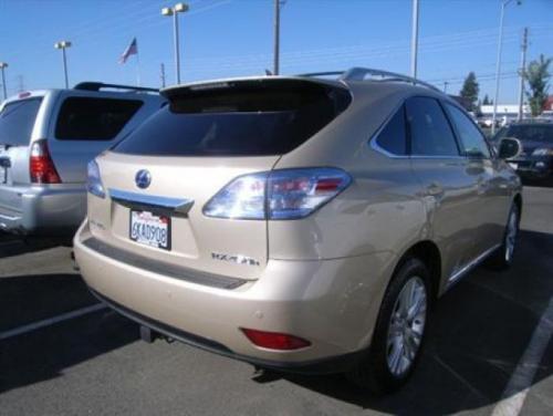 Photo Image Gallery & Touchup Paint: Lexus RX in Golden Almond Metallic  (4T1)  YEARS: 2010-2010