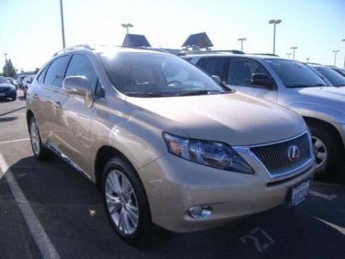 Photo Image Gallery & Touchup Paint: Lexus RX in Golden Almond Metallic  (4T1)  YEARS: 2010-2010