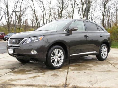 Photo Image Gallery & Touchup Paint: Lexus RX in Truffle Mica   (4T5)  YEARS: 2010-2010