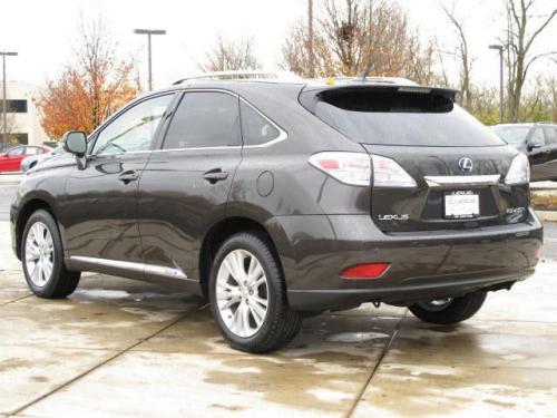 Photo Image Gallery & Touchup Paint: Lexus RX in Truffle Mica   (4T5)  YEARS: 2010-2010