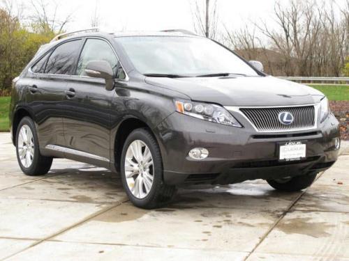 photo-image-gallery-touchup-paint-lexus-rx-in-truffle-mica-4t5