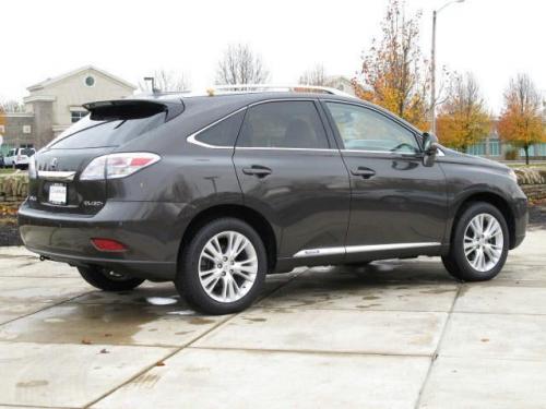 Photo Image Gallery & Touchup Paint: Lexus RX in Truffle Mica   (4T5)  YEARS: 2010-2010