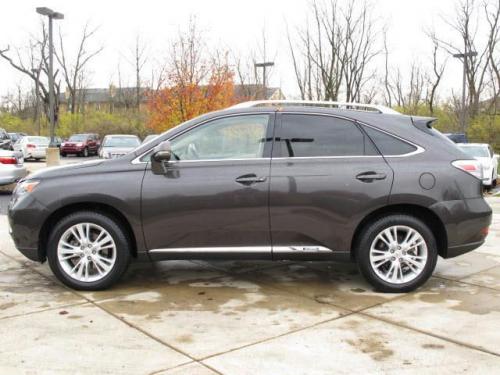 Photo Image Gallery & Touchup Paint: Lexus RX in Truffle Mica   (4T5)  YEARS: 2010-2010
