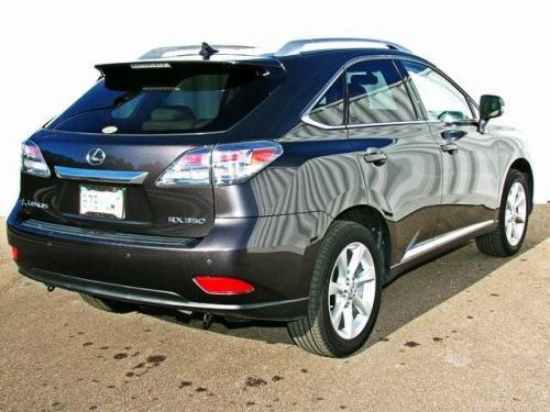 Photo Image Gallery & Touchup Paint: Lexus RX in Truffle Mica   (4T5)  YEARS: 2010-2010