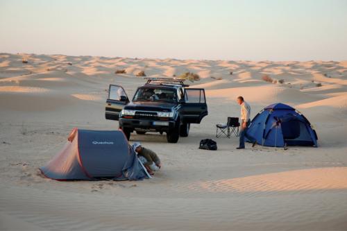 Photo Image Gallery & Touchup Paint: Toyota Landcruiser in Dark Emerald Pearl  (6M1)  YEARS: 1993-1997