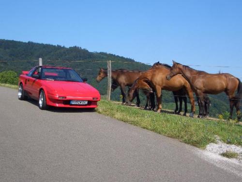 Photo Image Gallery & Touchup Paint: Toyota Mr2 in Super Red   (3E5)  YEARS: 1985-1989