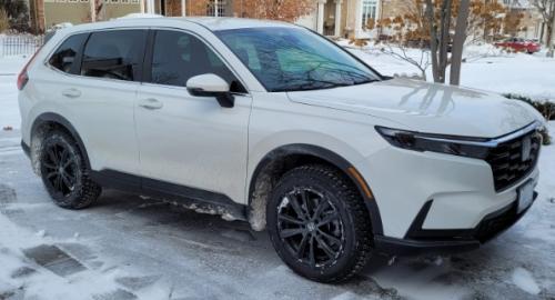 Photo of a 2024 Honda Prologue in Snowfall Pearl (paint color code 140X)