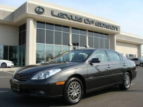 Photo of a 2004 Lexus ES in Graphite Gray Pearl (paint color code 1C6)