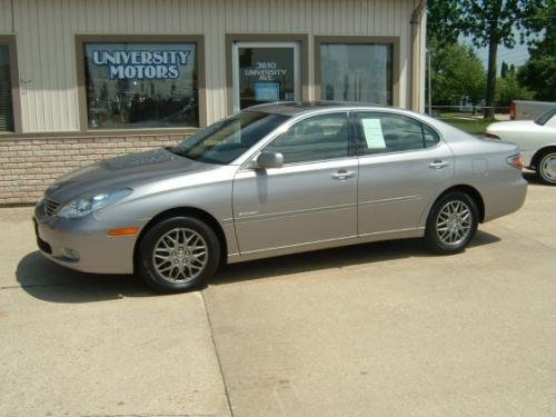 Photo of a 2004 Lexus ES in Thundercloud Metallic (paint color code 1D2)