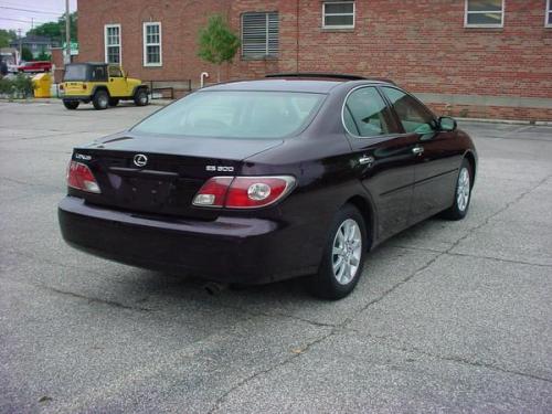 Photo of a 2002-2006 Lexus ES in Black Garnet Pearl (paint color code 3Q2)