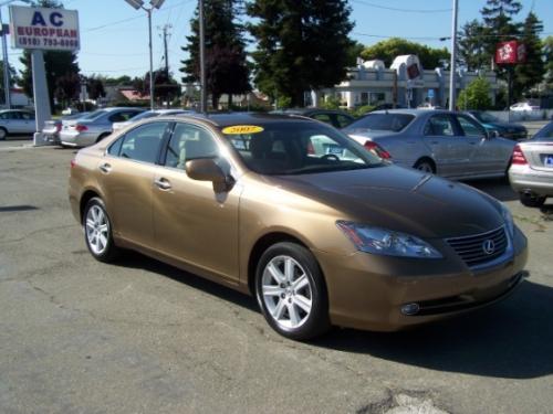 Photo of a 2007-2009 Lexus ES in Amber Pearl (paint color code 4T0)