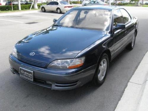 Photo of a 1994-1996 Lexus ES in Nightshadow Pearl (paint color code 8K0)