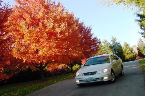 Photo of a 2003-2004 Lexus GS in Parchment Crystal (paint color code 066)