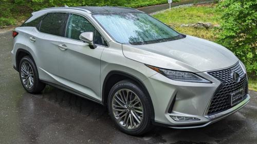 Photo of a 2020-2021 Lexus RX in Moonbeam Beige Metallic (paint color code 4X8)