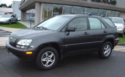 Photo of a 2002 Lexus RX in Graphite Gray Pearl (paint color code 1C6)