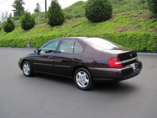 Photo of a 1998-2000 Nissan Altima in Black Cherry (paint color code AS0)