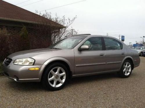 Photo of a 2000-2003 Nissan Maxima in Sterling Mist (paint color code KT3)