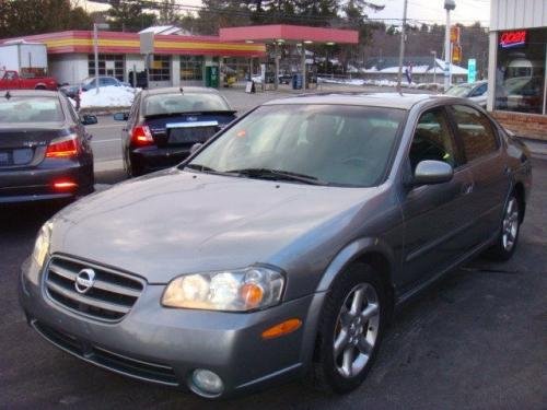 Photo of a 2003 Nissan Maxima in Polished Titanium (paint color code WV2)