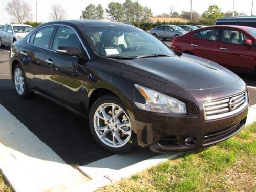 Photo Image Gallery & Touchup Paint: Nissan Maxima in Crimson Black (GAD)