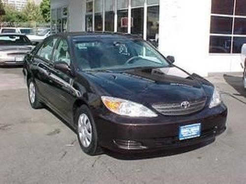 Photo of a 2002-2004 Toyota Camry in Black Walnut Pearl (paint color code 3P5)