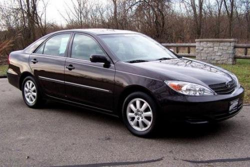 Photo of a 2002-2004 Toyota Camry in Black Walnut Pearl (paint color code 3P5)
