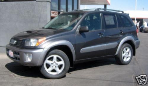 Photo of a 2003 Toyota RAV4 in Graphite Gray Pearl (paint color code 1C6)