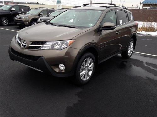 Photo Image Gallery & Touchup Paint: Toyota Rav4 in Pyrite Mica (4T3)