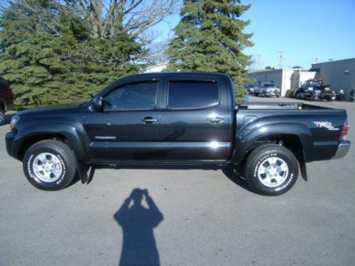 Photo of a 2005-2010 Toyota Tacoma in Black Sand Pearl (paint color code 209)